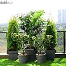 artificial plants