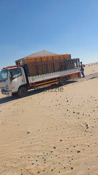 نقل اثاث نقل عفش فك و تركيب داخل وخارج مملكة 4