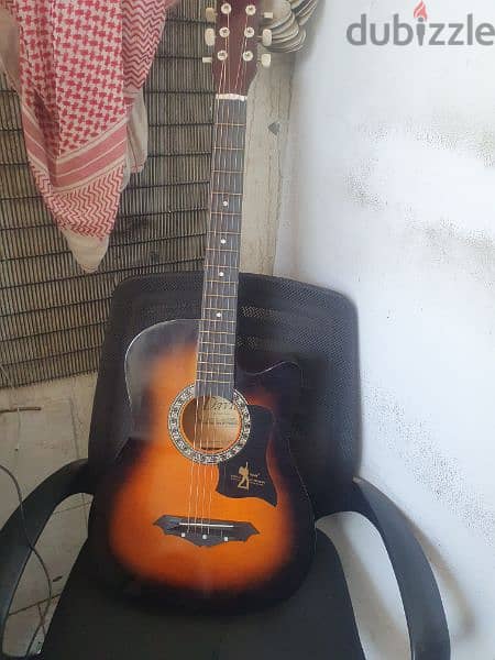 Guitaar New with his cover and some new wires 2