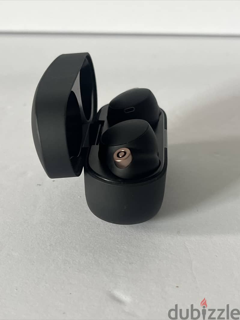 Sony WF-1000XM4 ANC True Wireless Earbuds 4