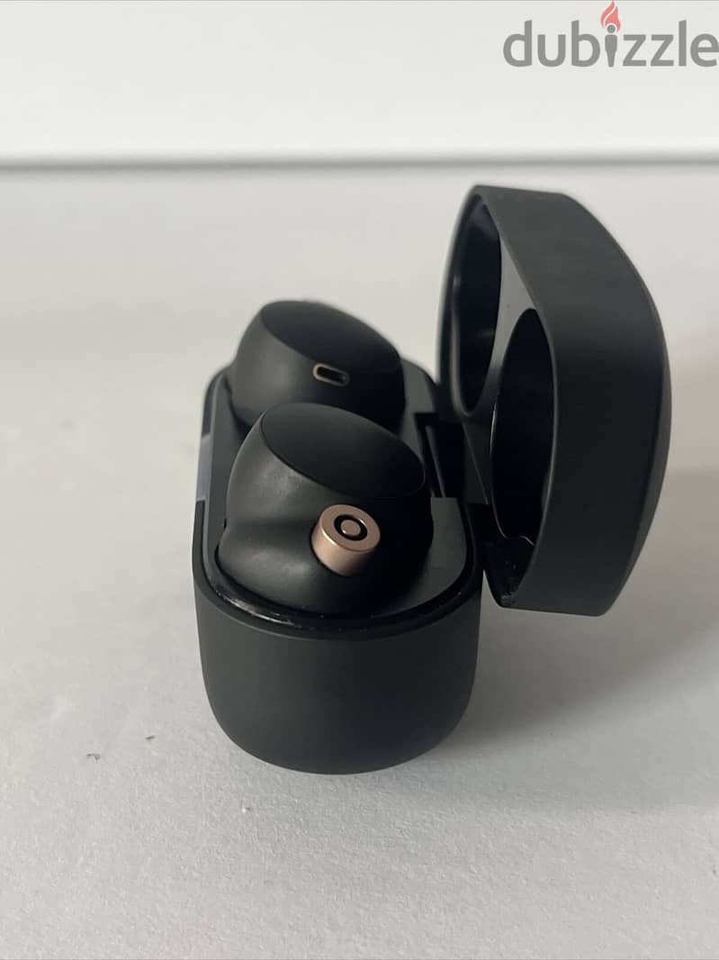 Sony WF-1000XM4 ANC True Wireless Earbuds 6