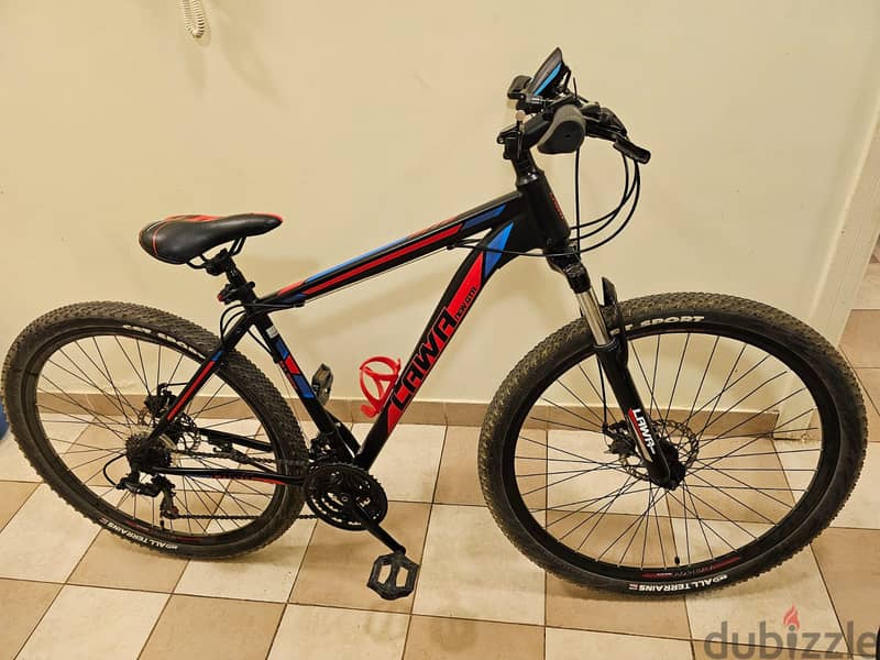 Mountain Sport Bicycle 1