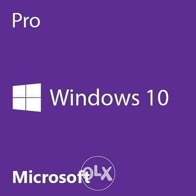 Windows Licence