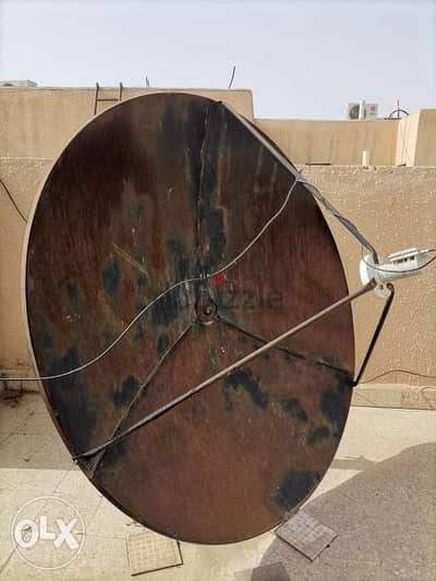 Dish