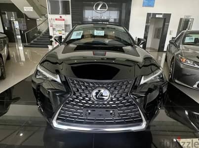 Lexus UX 300 2024