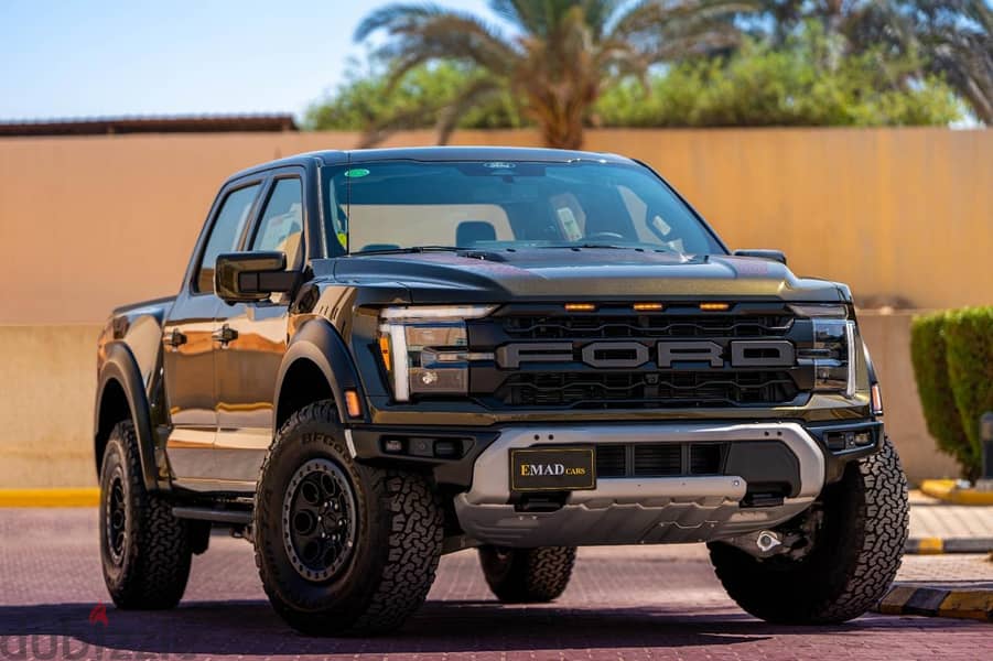 Ford F150 Raptor 2024 0