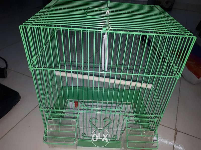 Bird cage. 1