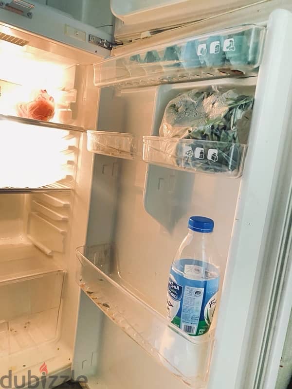 This fridge is from 110 World. 4