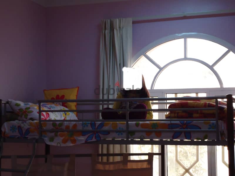 3 child Special bunk bed   Home center 1