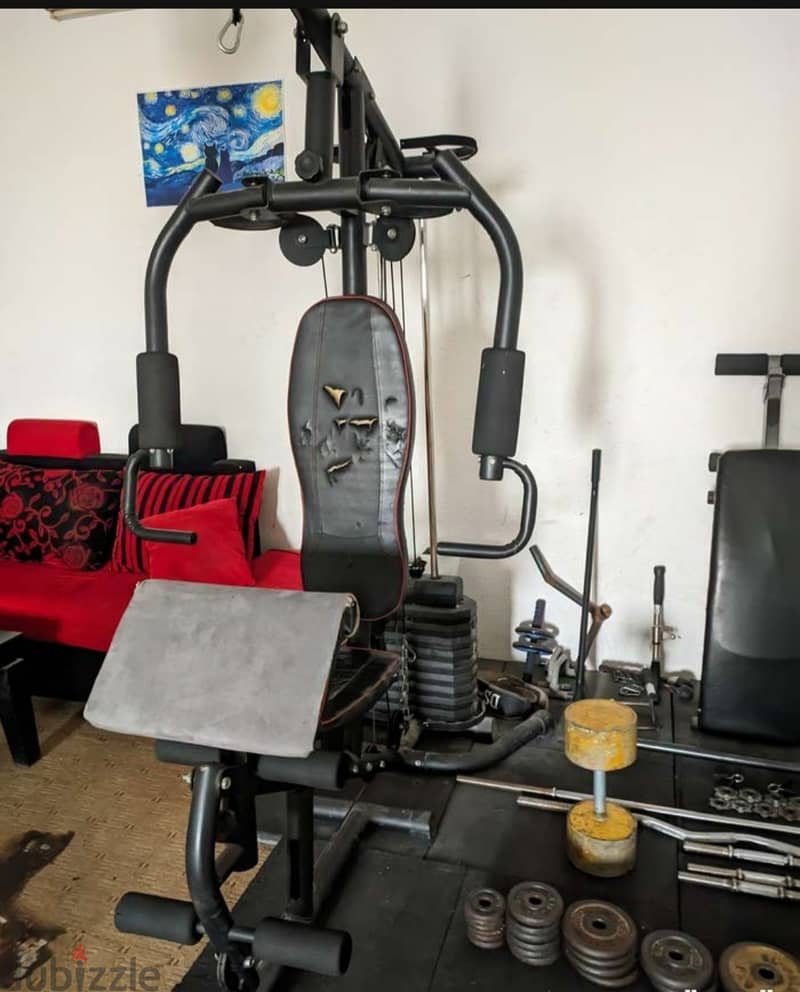 gym equipment,bench,dumbells,75kg+ plates,gym matts 1