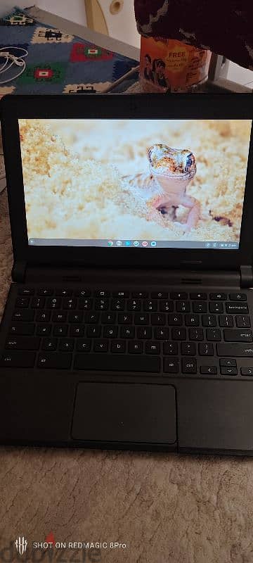 Dell Chromebook 1