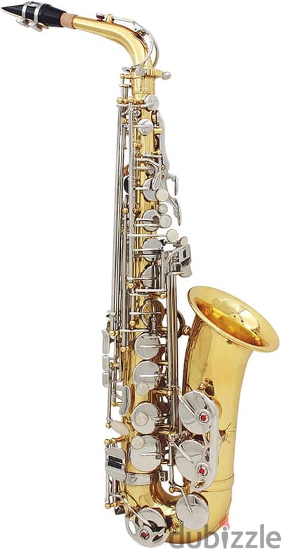 Fawoonu Alto Saxophone Sax Glossy Brass Engraved Eb E-Flat Natural Wh