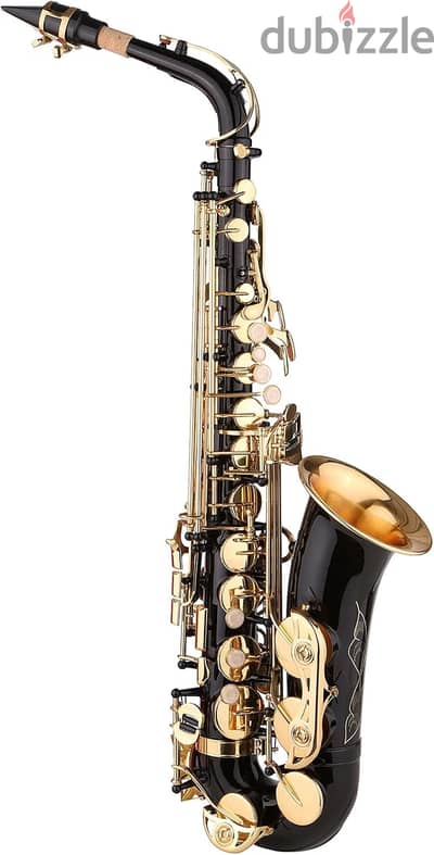 Fawoonu Saxophone Black Paint E-flat Sax for Beginner Student Interme