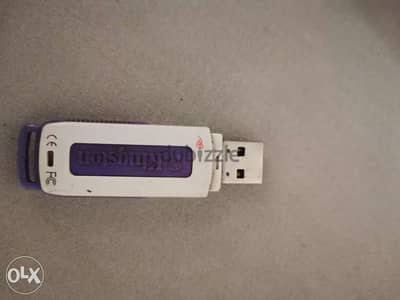 Kingston 4 gb with windows