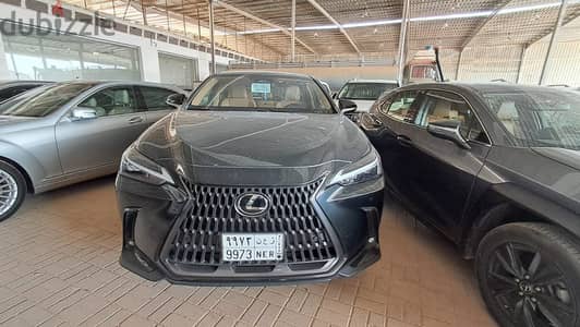 Lexus NX350 half option 2024