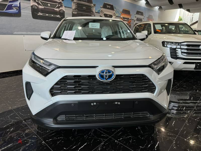 Toyota RAV4 Hybrid LE 2024 0