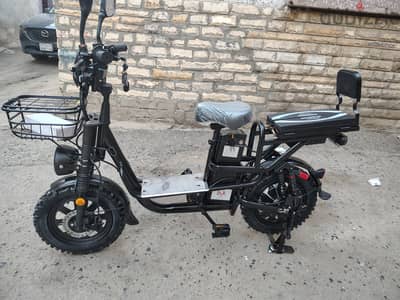 Electric bike