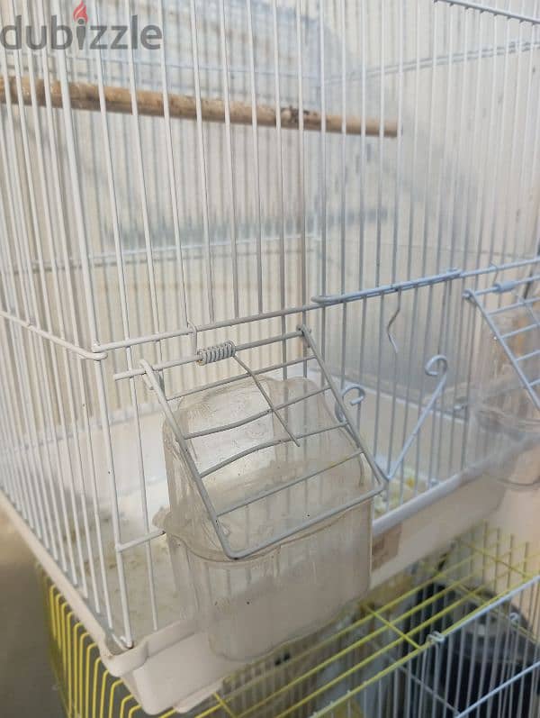 3. cage for birds (pinjra) 2