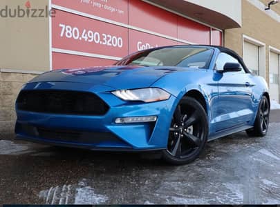 ‏2021  Ford Mustang EcoBoost