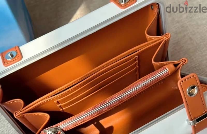 Dior x Rimowa crossbody bag 1