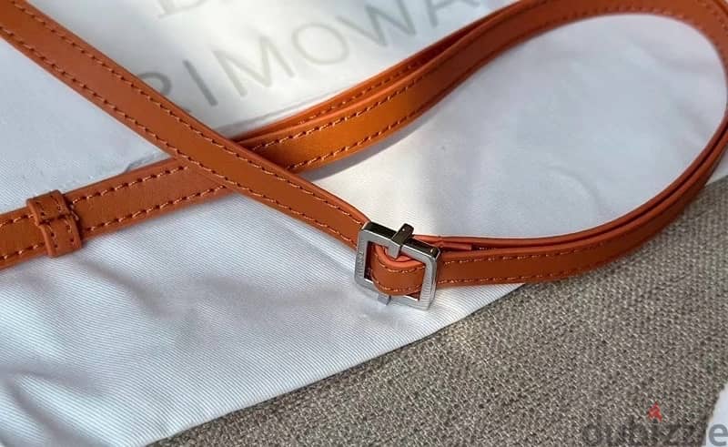 Dior x Rimowa crossbody bag 4