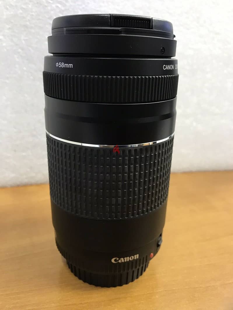CANON EF 75-300MM F/4-5.6 III USM LENS 1
