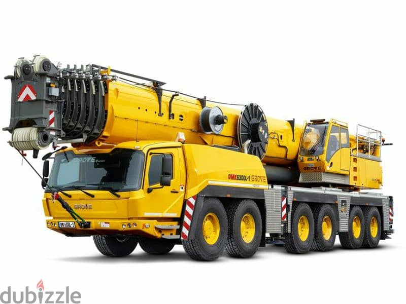 Cranes from 25Ton To 500 Ton For Rent In Dammam Riyadh 4