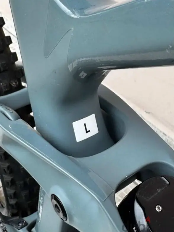 Bicycle65095345551873113