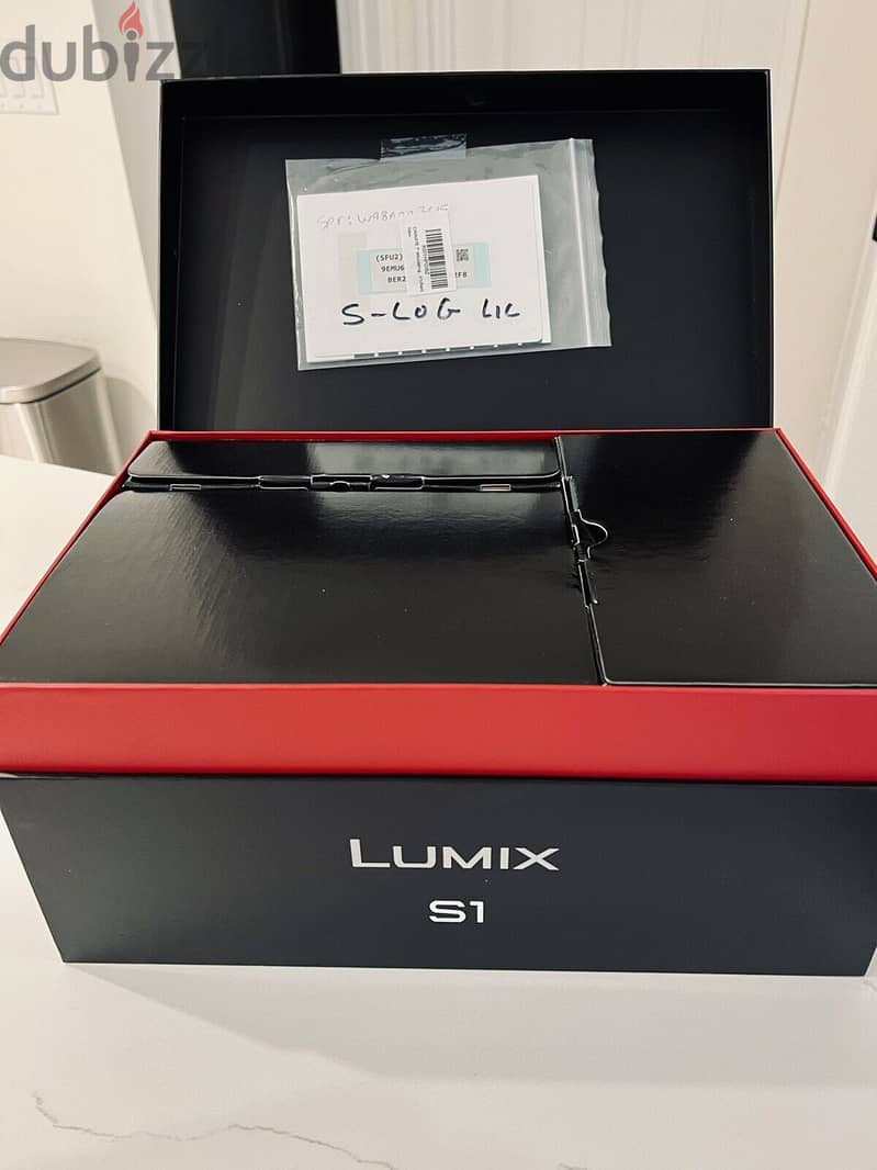 Panasonic Lumix S1 Mirrorless 24-105mm Lens 1