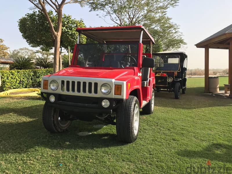 Premium Golf Cart Customisation Service & Accessory عربة جولف 5