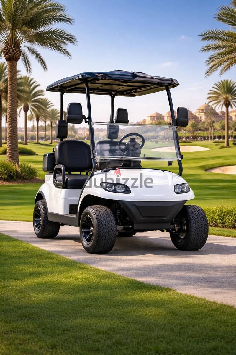 CustomCarts. org - LUXURY 2-Seater Golf Cart - Brand New! - عربة قولف 1
