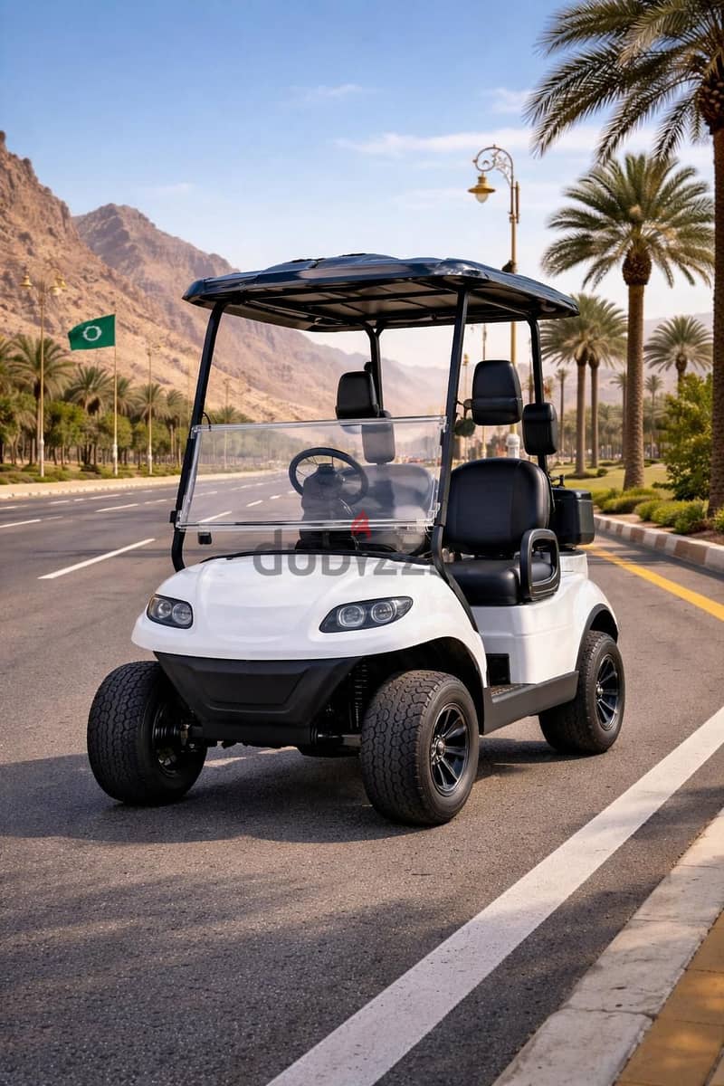 CustomCarts. org - LUXURY 2-Seater Golf Cart - Brand New! - عربة قولف 2