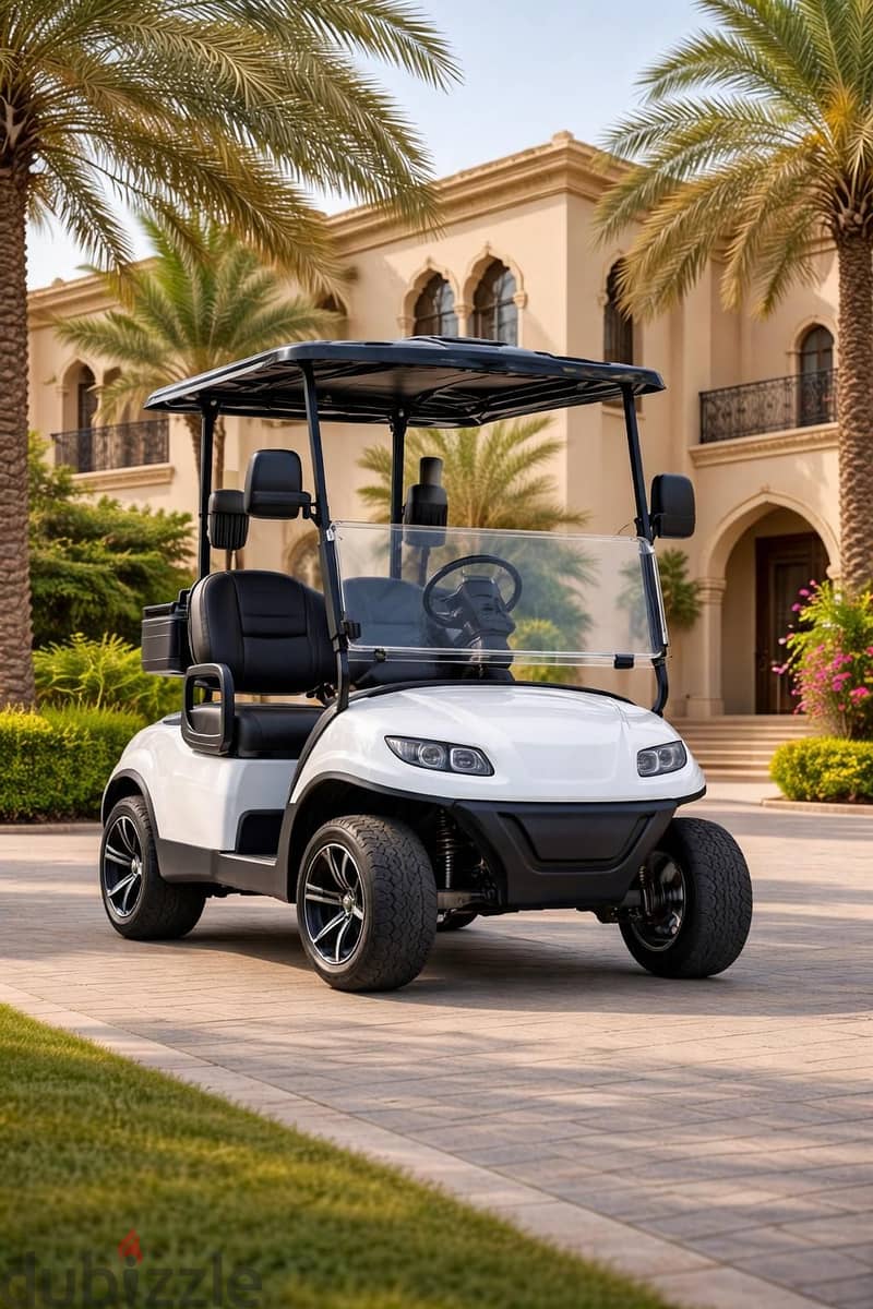CustomCarts. org - LUXURY 2-Seater Golf Cart - Brand New! - عربة قولف 3