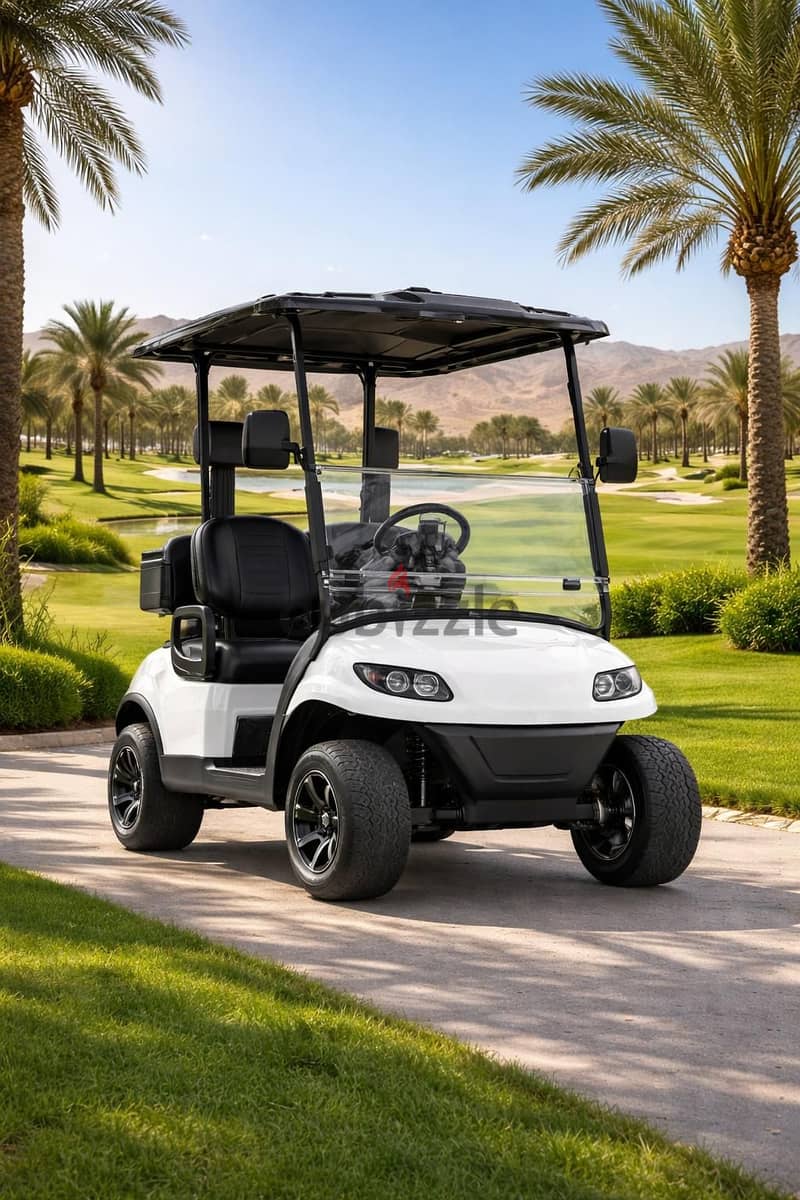 CustomCarts. org - LUXURY 2-Seater Golf Cart - Brand New! - عربة قولف 4