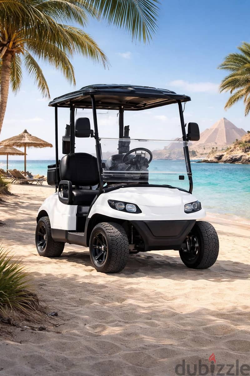 CustomCarts. org - LUXURY 2-Seater Golf Cart - Brand New! - عربة قولف 5