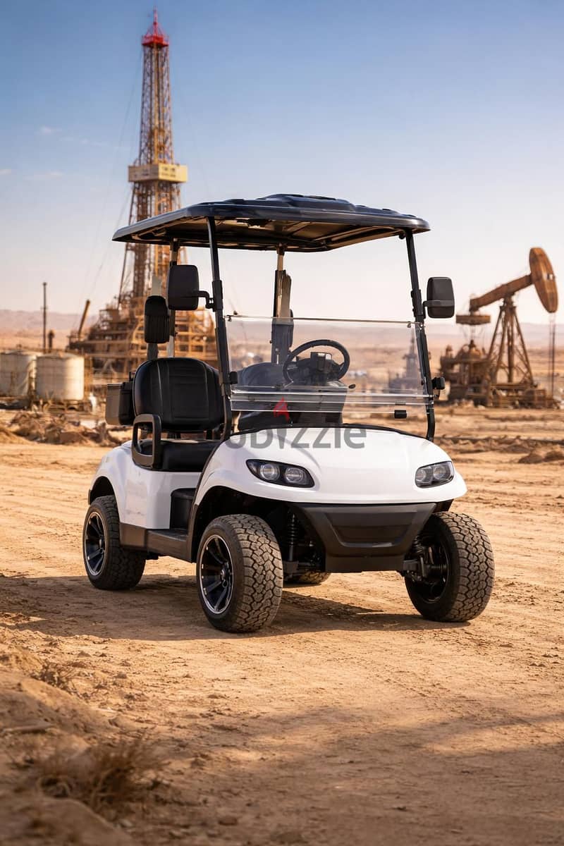 CustomCarts. org - LUXURY 2-Seater Golf Cart - Brand New! - عربة قولف 6