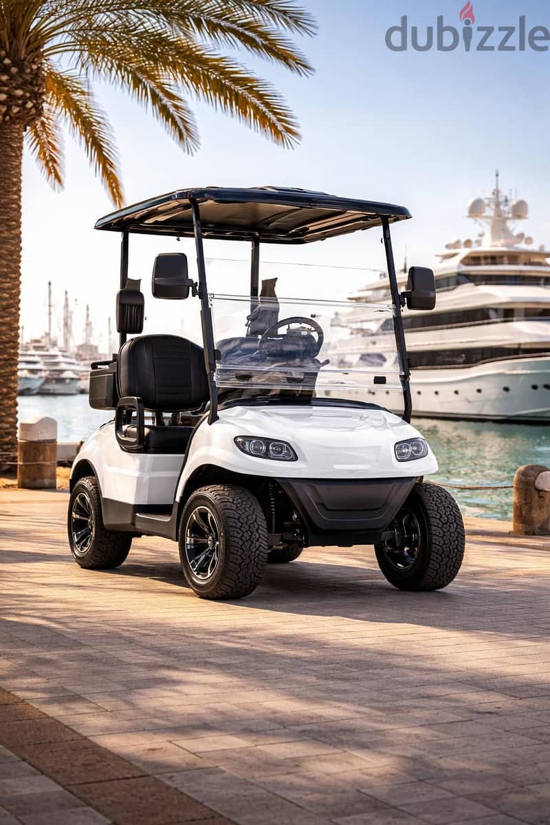 CustomCarts. org - LUXURY 2-Seater Golf Cart - Brand New! - عربة قولف 7