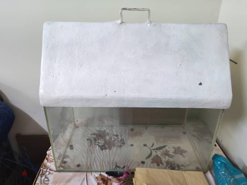 Big Fish Tank 150 SAR 1