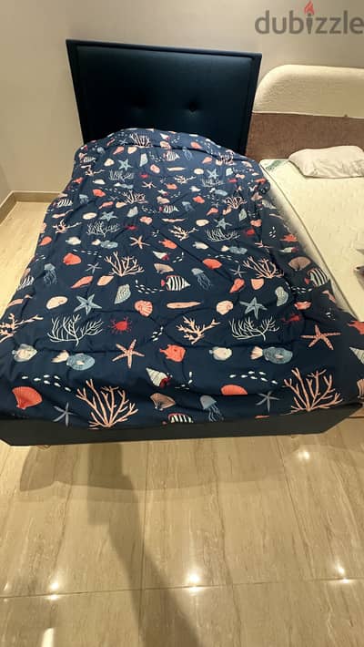 Single bed - Home Centre