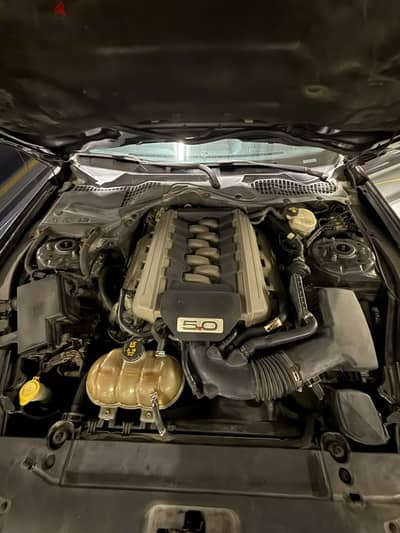Ford Mustang 2016 GT V8 5.0