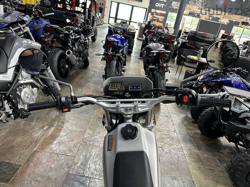 2023 Yamaha Dual Sport Motorcycle TW200 2