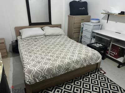 Cat Boarding, Cat Sitter, Catd home day Care, Cat Accomodation,