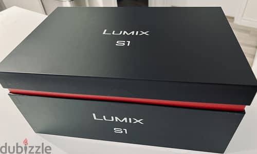 Panasonic Lumix S1 Mirrorless 24-105mm Lens