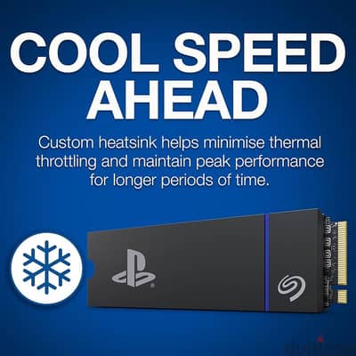 Seagate Game Drive PS5 NVMe SSD for PS5 2TB
