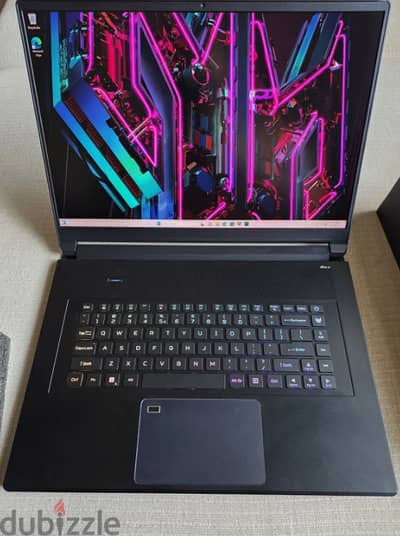 Acer Predator Triton 17X