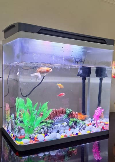 Totally fine and glass fish tanker with electric machine and lights