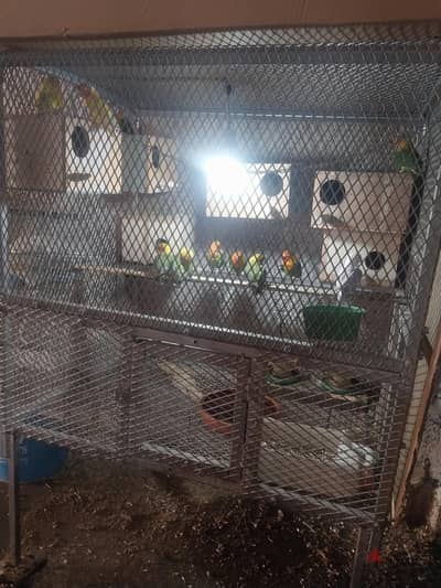 bird mix