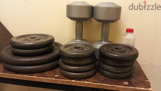 gym equipment