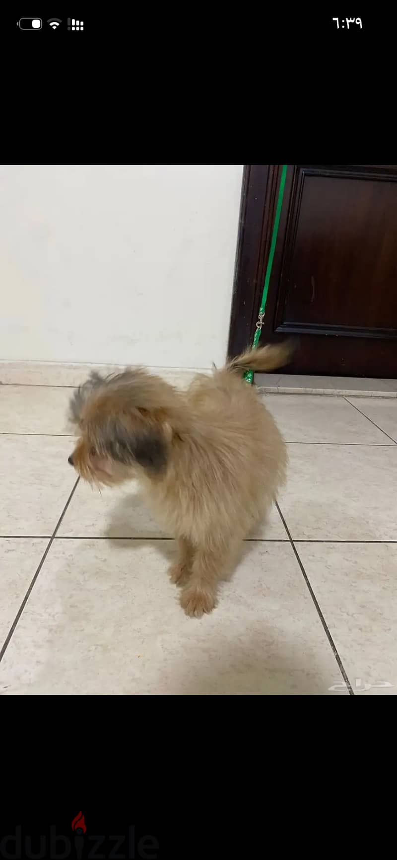 المملكة العربية السعودية جدة 2