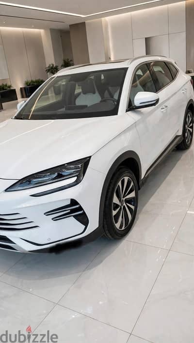 BYD 2025